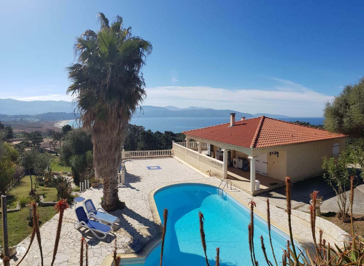 Villa Liamone Studio Fuer 3 Personen , 400 M Vom Strand, Pool, Klimaanlage Sagone  Eksteriør bilde