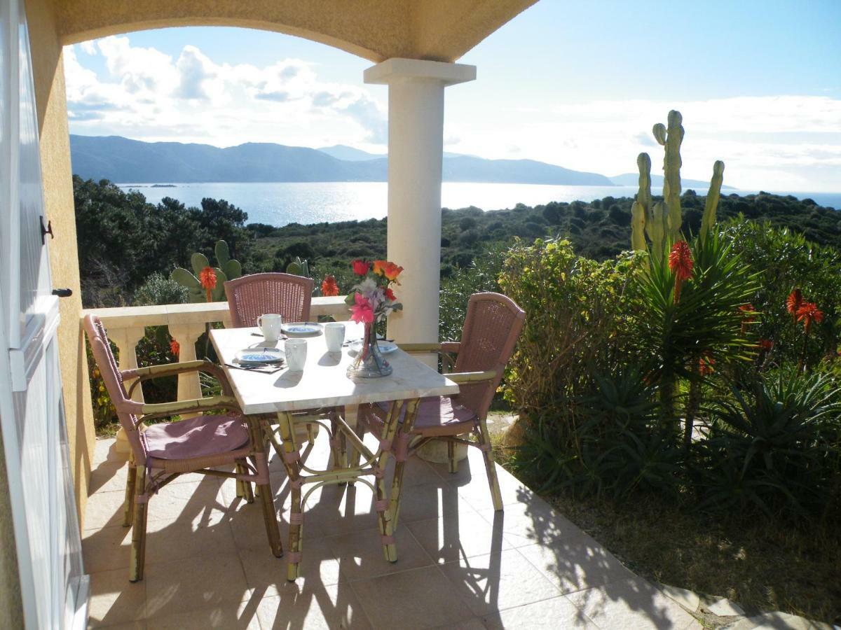 Villa Liamone Studio Fuer 3 Personen , 400 M Vom Strand, Pool, Klimaanlage Sagone  Eksteriør bilde